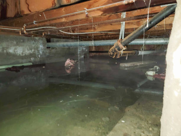 Best Local water damage restoration  in Colby, KS