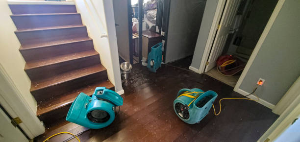 Best Water damage restoration near me  in Colby, KS