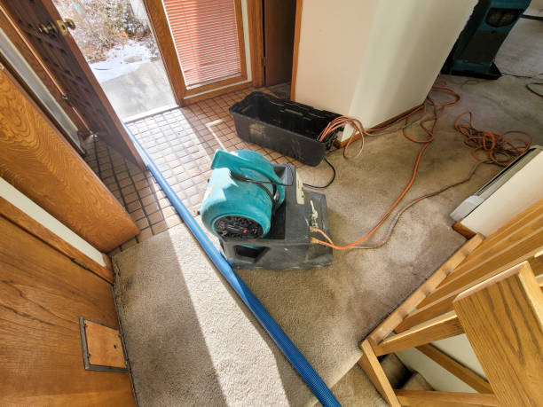 Best Basement water damage restoration  in Colby, KS