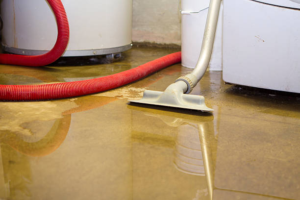 Best Professional water damage repair  in Colby, KS